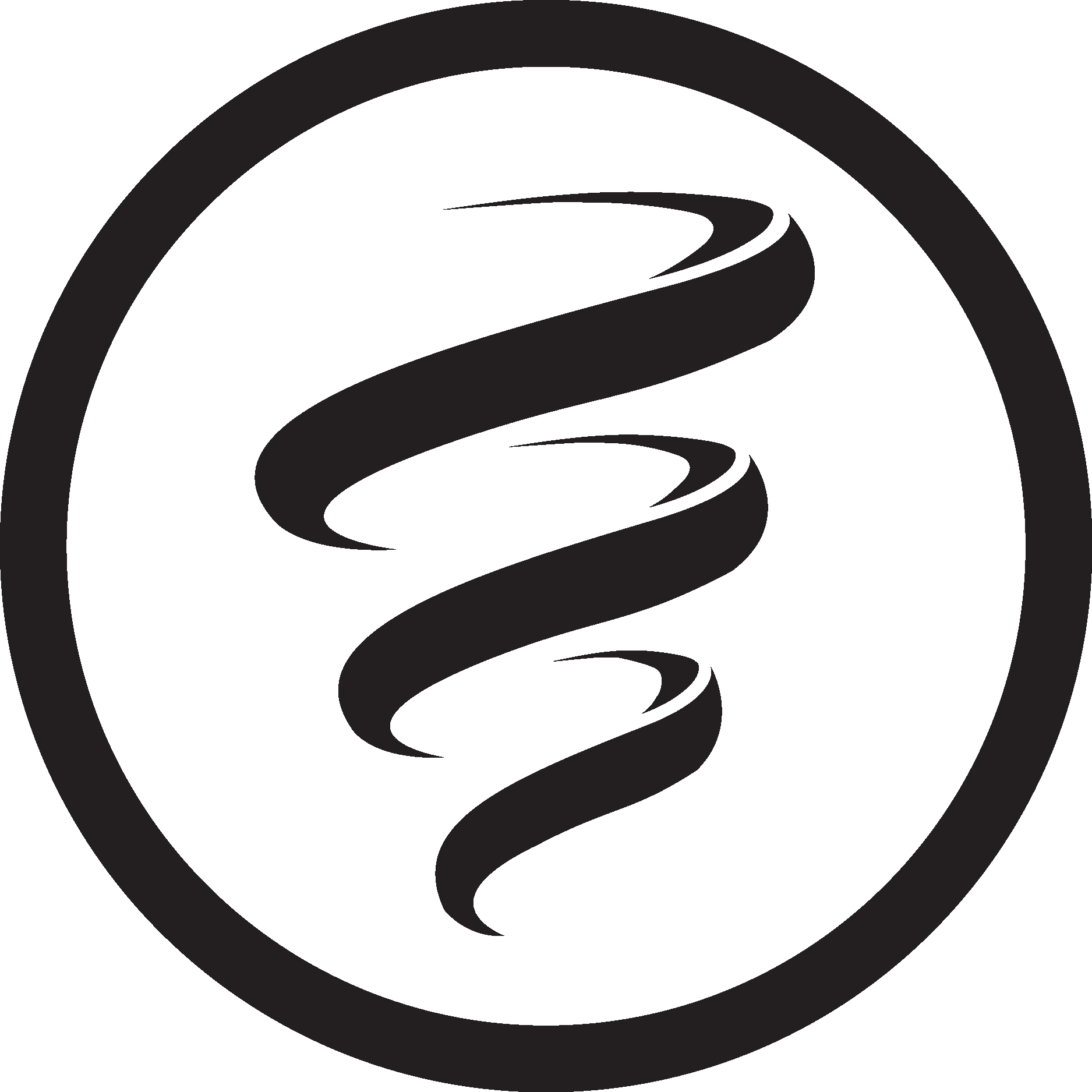 Whirlwind Icon Logo Vector Logo